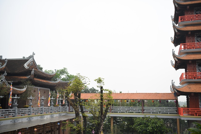 The peaceful place in mind of the Buddha's disciples