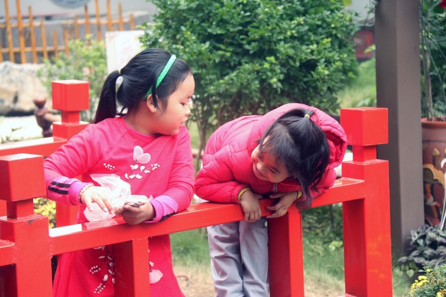 The peaceful place in mind of the Buddha's disciples