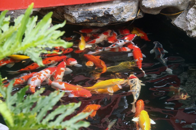 The peaceful place in mind of the Buddha's disciples