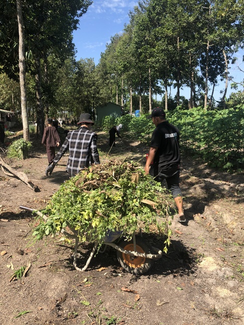Activities at Huong Phap Pagoda, Cu Chi