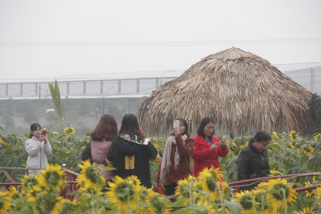 The Ceremony praying for peace at Giai Lam Pagoda - Hà Tĩnh