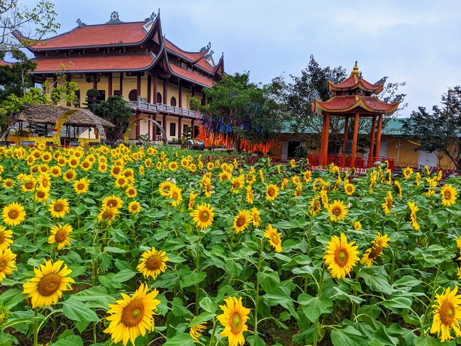 The Ceremony praying for peace at Giai Lam Pagoda - Hà Tĩnh