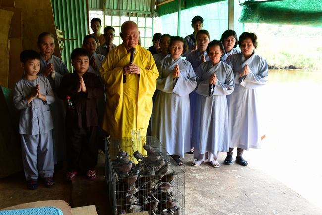 The  praying ceremony for rebirth in Hoc Mon, HCMC and releasing creatures in Ca Mau.