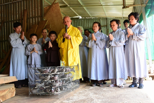 The  praying ceremony for rebirth in Hoc Mon, HCMC and releasing creatures in Ca Mau.