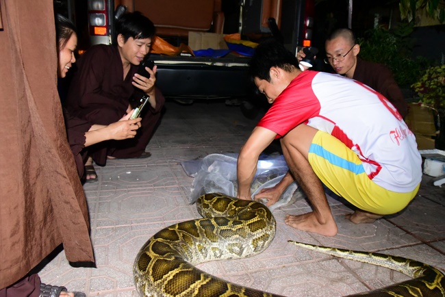 Releasing creatures  at High U Minh forest