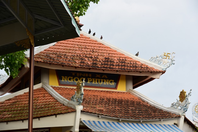 Releasing creatures  at High U Minh forest