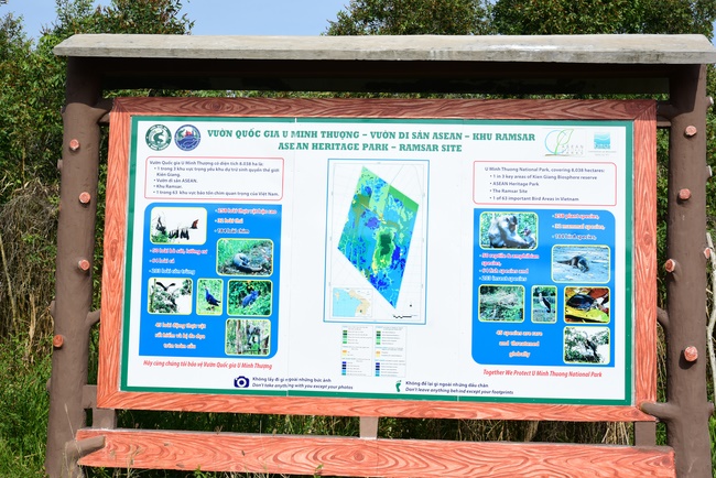 Releasing creatures  at High U Minh forest