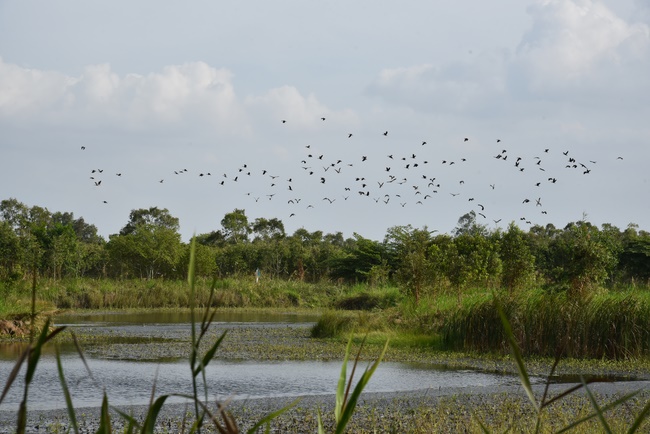 Releasing creatures  at High U Minh forest
