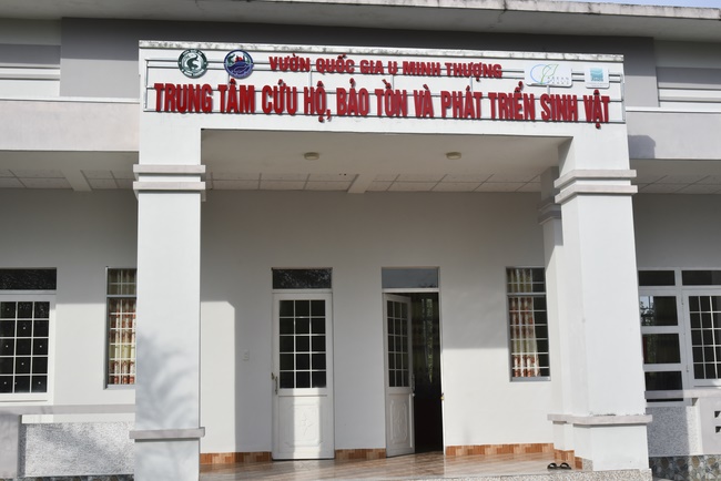 Releasing creatures  at High U Minh forest