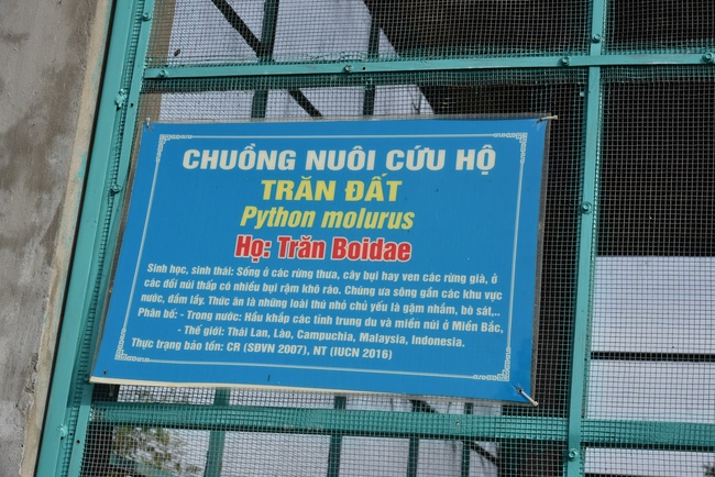 Releasing creatures  at High U Minh forest