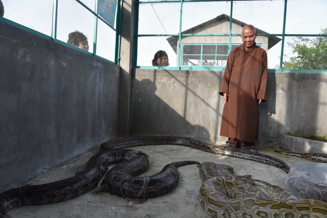 Releasing creatures  at High U Minh forest