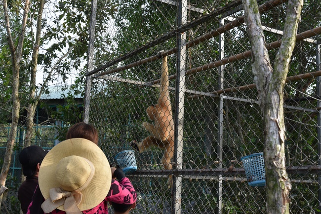 Releasing creatures  at High U Minh forest