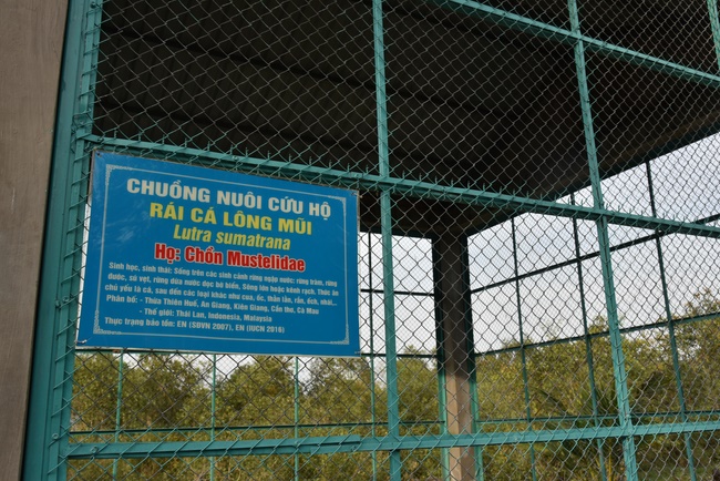 Releasing creatures  at High U Minh forest