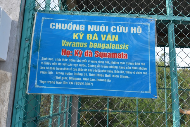 Releasing creatures  at High U Minh forest