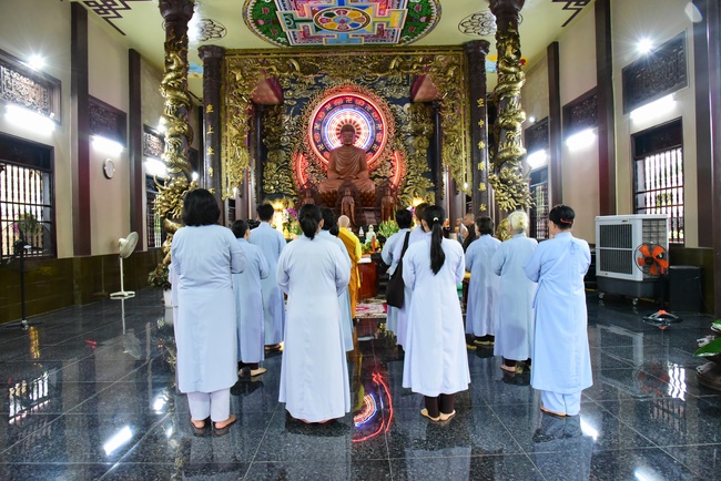 Releasing creatures  at High U Minh forest