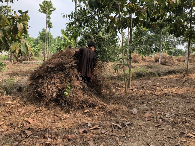 Activities at the branch of Hoang Phap Pagoda, Cu Chi