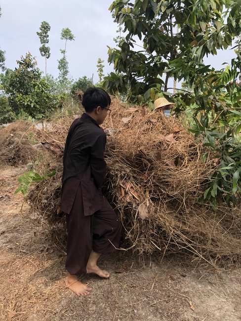 Activities at the branch of Hoang Phap Pagoda, Cu Chi