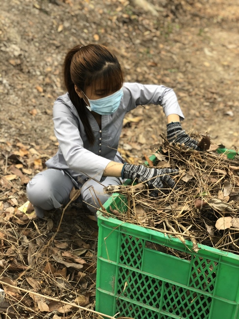 Activities at the branch of Hoang Phap Pagoda, Cu Chi