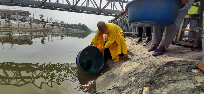 Releasing creatures and charity at Dong Cao pagoda, Thanh Hoa