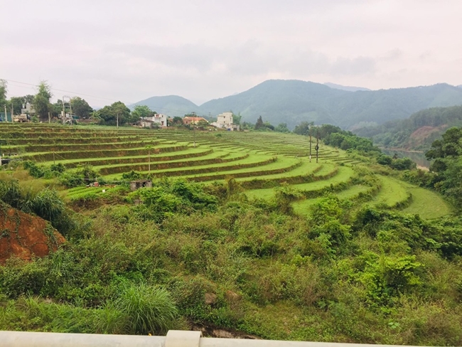 Offering medical Masks to the People's Committee of Ha Long City and Binh Lieu District of Tieu Dao pagoda