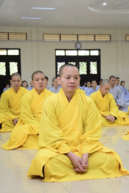 Is it right as you sow, so shall you reap? – Dharma talk in the Seven-Day Special Retreat