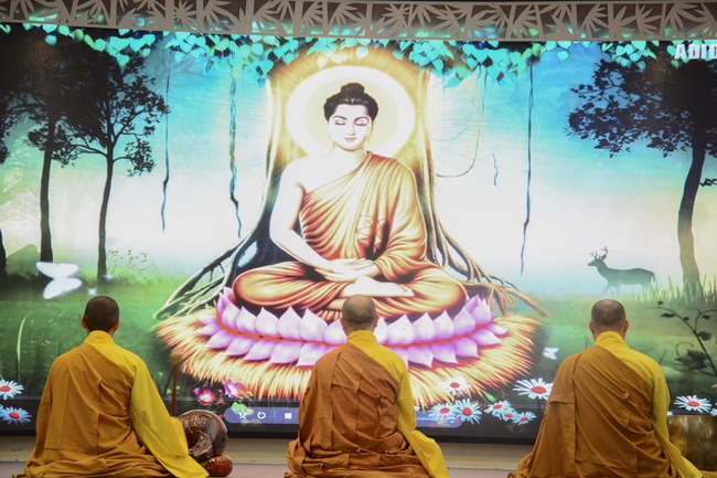 Is it right as you sow, so shall you reap? – Dharma talk in the Seven-Day Special Retreat