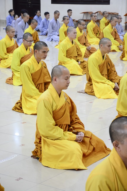 Is it right as you sow, so shall you reap? – Dharma talk in the Seven-Day Special Retreat