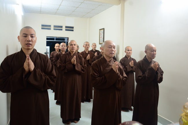 Planting trees in Tay Ninh of the monks of Hoang Phap Pagoda