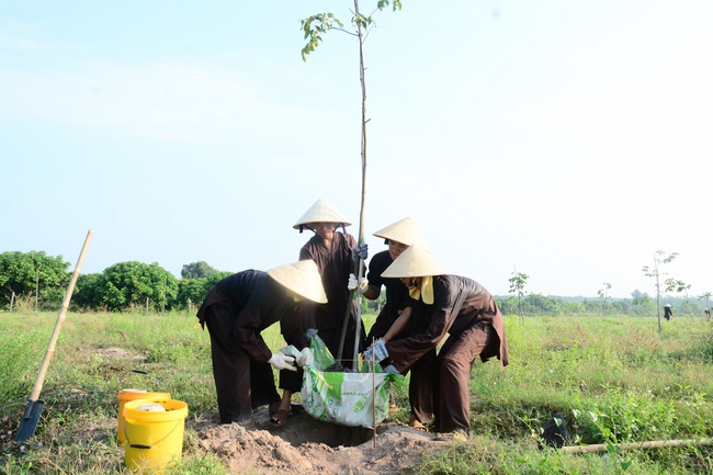 Planting trees in Tay Ninh of the monks of Hoang Phap Pagoda
