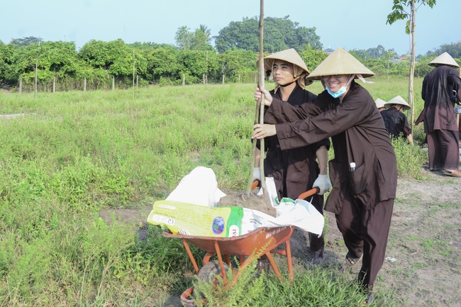 Planting trees in Tay Ninh of the monks of Hoang Phap Pagoda