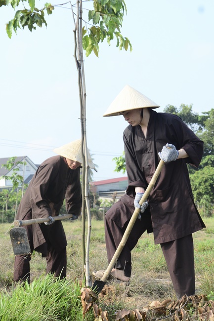 Planting trees in Tay Ninh of the monks of Hoang Phap Pagoda