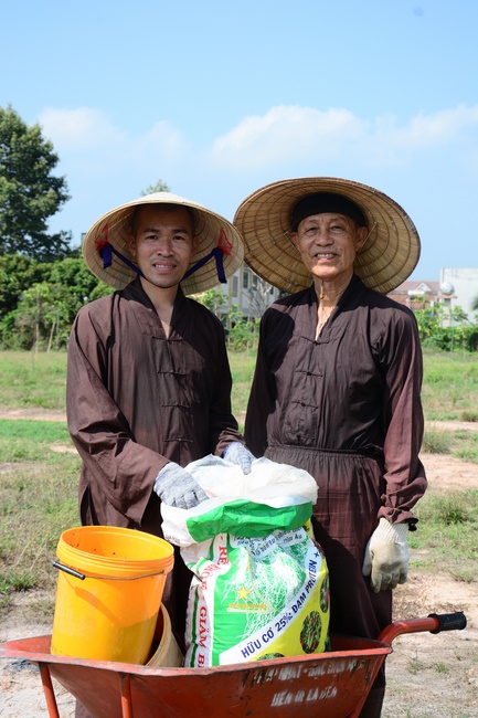 Planting trees in Tay Ninh of the monks of Hoang Phap Pagoda