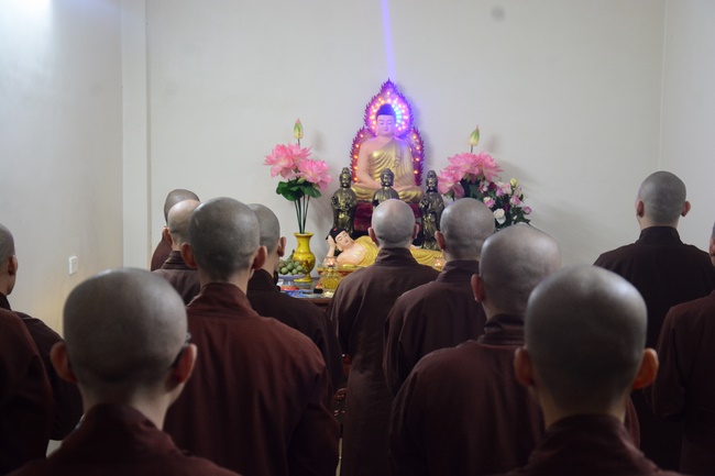 Planting trees in Tay Ninh of the monks of Hoang Phap Pagoda