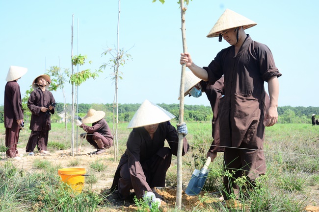 Planting trees in Tay Ninh of the monks of Hoang Phap Pagoda