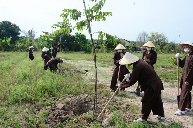 Planting trees in Tay Ninh of the monks of Hoang Phap Pagoda