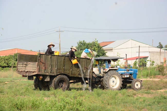 Planting trees in Tay Ninh of the monks of Hoang Phap Pagoda