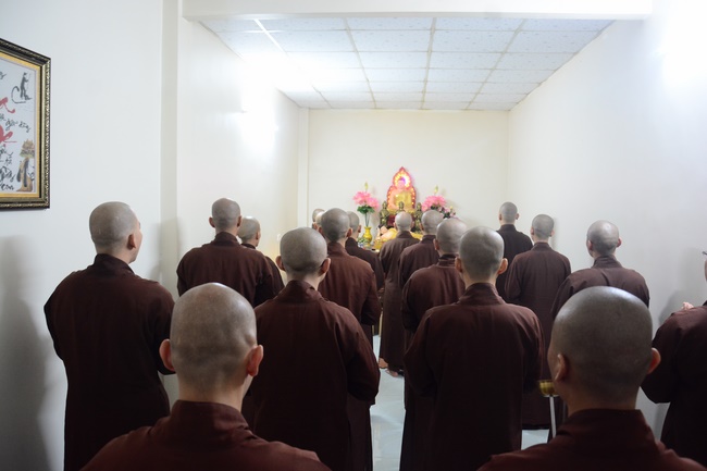 Planting trees in Tay Ninh of the monks of Hoang Phap Pagoda