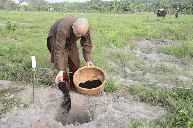 Planting trees in Tay Ninh of the monks of Hoang Phap Pagoda