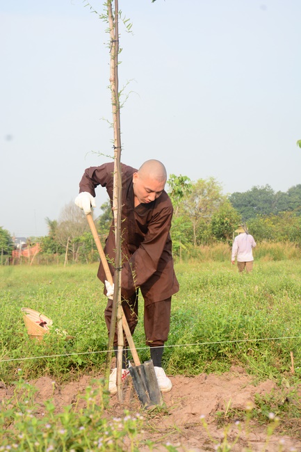 Planting trees in Tay Ninh of the monks of Hoang Phap Pagoda