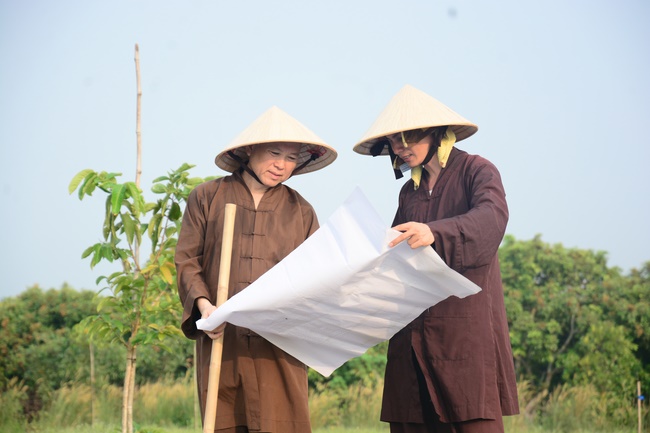 Planting trees in Tay Ninh of the monks of Hoang Phap Pagoda