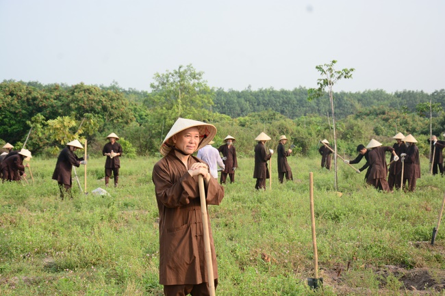 Planting trees in Tay Ninh of the monks of Hoang Phap Pagoda