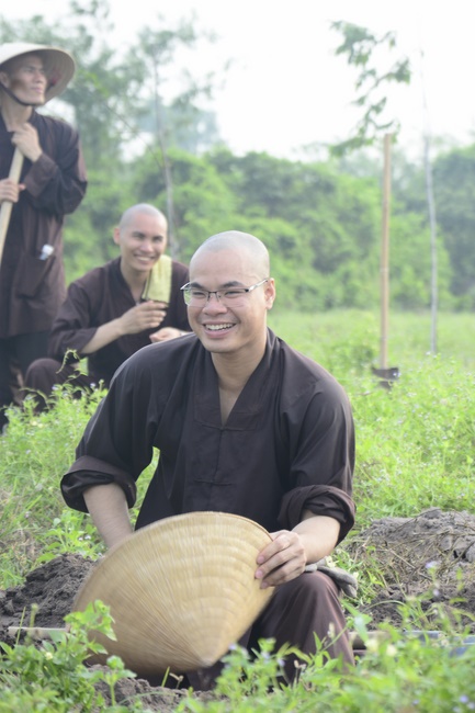 Planting trees in Tay Ninh of the monks of Hoang Phap Pagoda