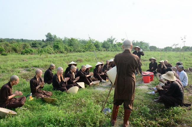 Planting trees in Tay Ninh of the monks of Hoang Phap Pagoda