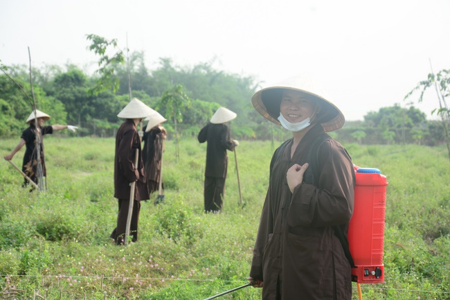 Planting trees in Tay Ninh of the monks of Hoang Phap Pagoda