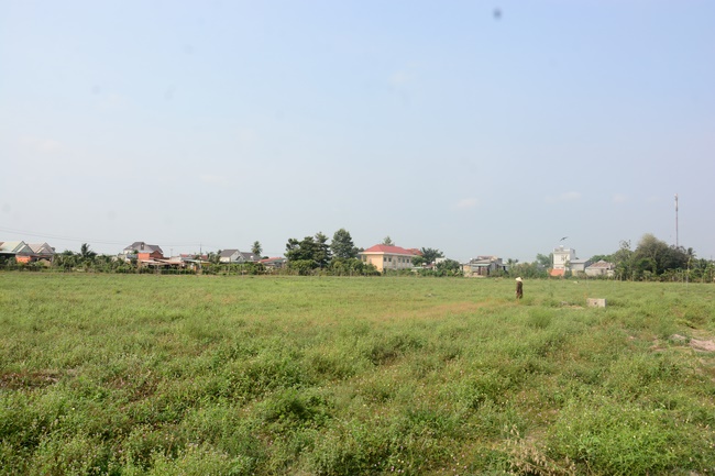 Planting trees in Tay Ninh of the monks of Hoang Phap Pagoda