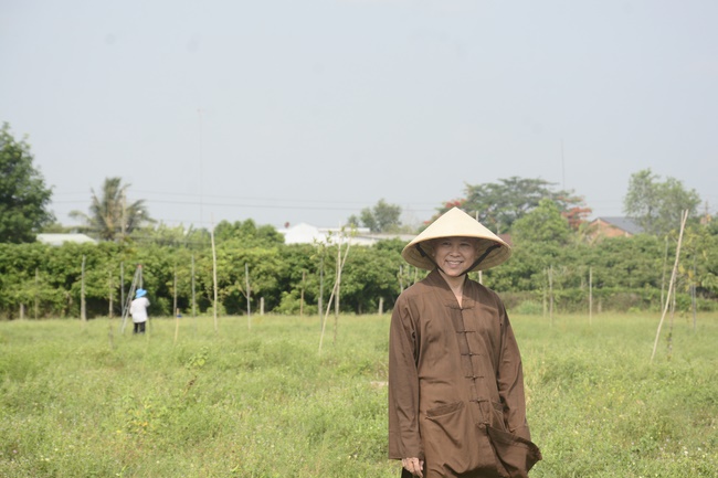 Planting trees in Tay Ninh of the monks of Hoang Phap Pagoda