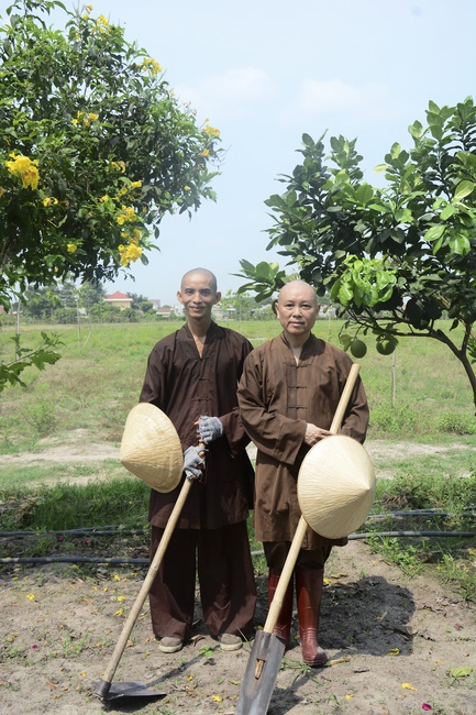 Planting trees in Tay Ninh of the monks of Hoang Phap Pagoda