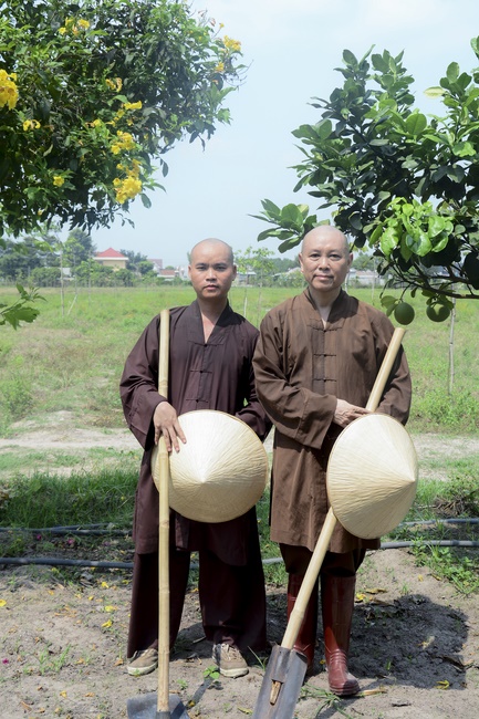 Planting trees in Tay Ninh of the monks of Hoang Phap Pagoda