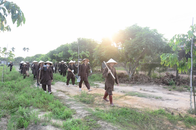 Planting trees in Tay Ninh of the monks of Hoang Phap Pagoda