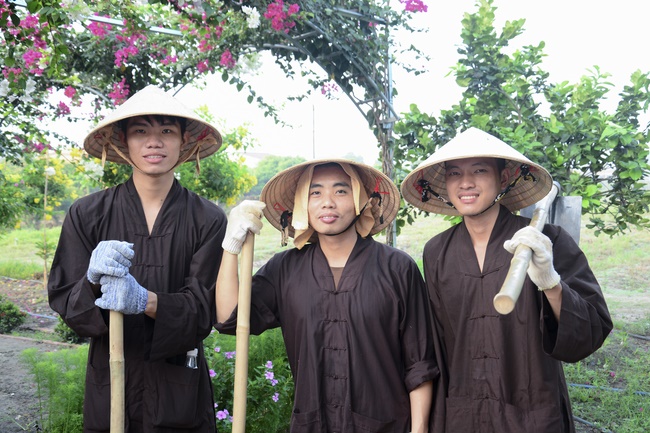 Planting trees in Tay Ninh of the monks of Hoang Phap Pagoda